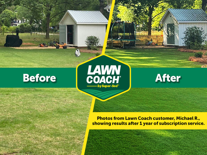 Before and after photos from a Lawn Coach customer showing results after 1 year of subscription service