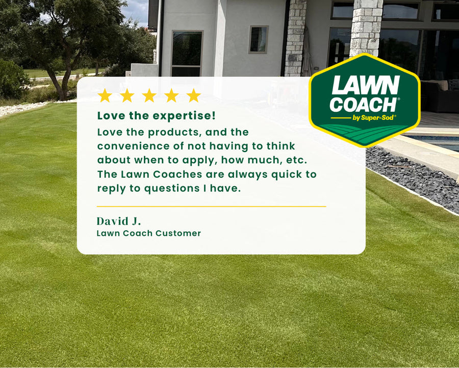 Essential Lawn Coach for Bermuda, Centipede, Zoysia, Tall Fescue