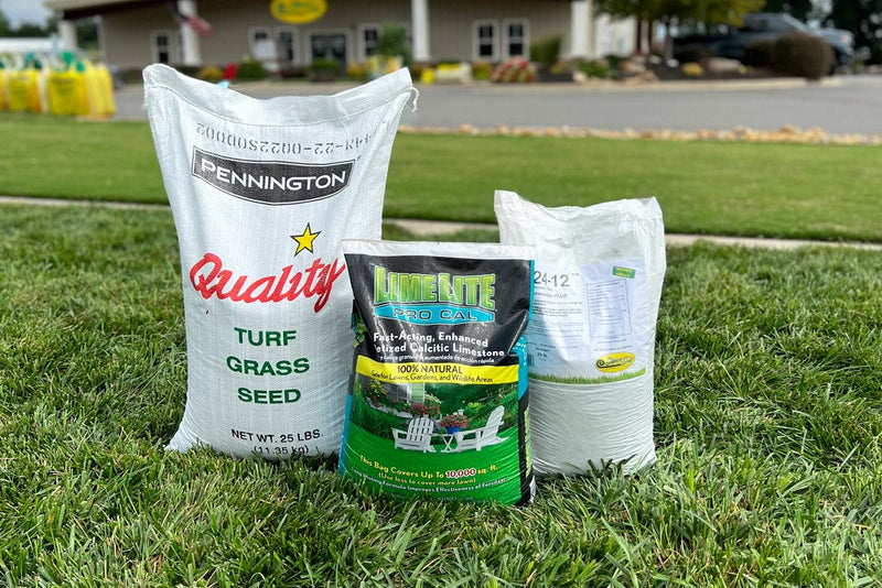 Elite Tall Fescue Seeding Package 1 (covers 4,000 sq. ft.)