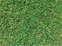 Tifway 419 Bermuda Sod