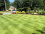 Zeon Zoysia Sod