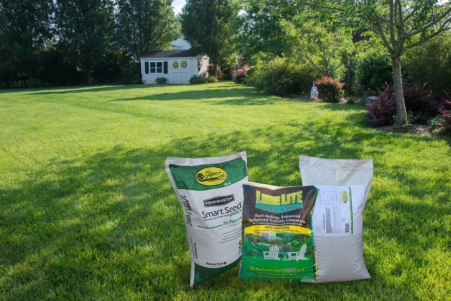 Elite Tall Fescue Seeding Package 2 (covers 8,000 sq. ft.)