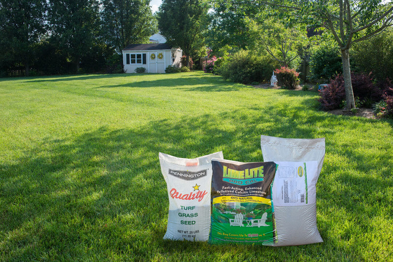 Elite Tall Fescue Seeding Package 1 (covers 4,000 sq. ft.)